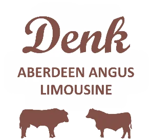 FARMA-DENK_Aberdeen-angus_Limousine